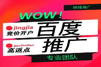 SEM代运营机构成功案例：优化策略与效果分析
