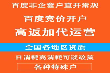 攻略解析：如何利用百度推广抢占市场份额